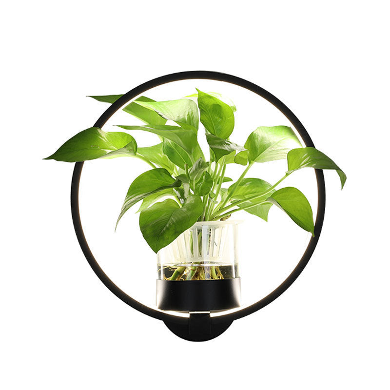 Decorative Wall Lamp – Accent Lighting